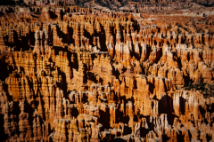IMG_6761
