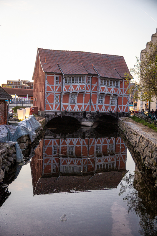 20260429-IMG_5251