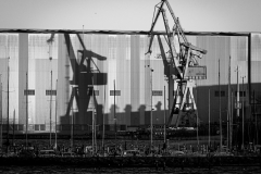 20260428-IMG_5173