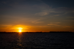 20260428-IMG_5187
