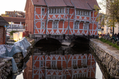 20260429-IMG_5251