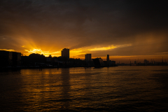 20260503-IMG_5720