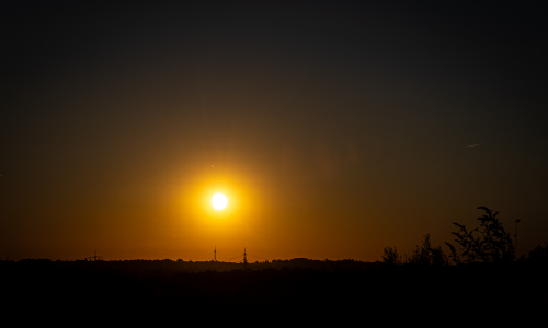20260812-IMG_7451