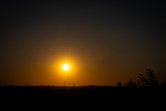 20260812-IMG_7451
