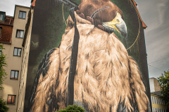 20250704-IMG_4369